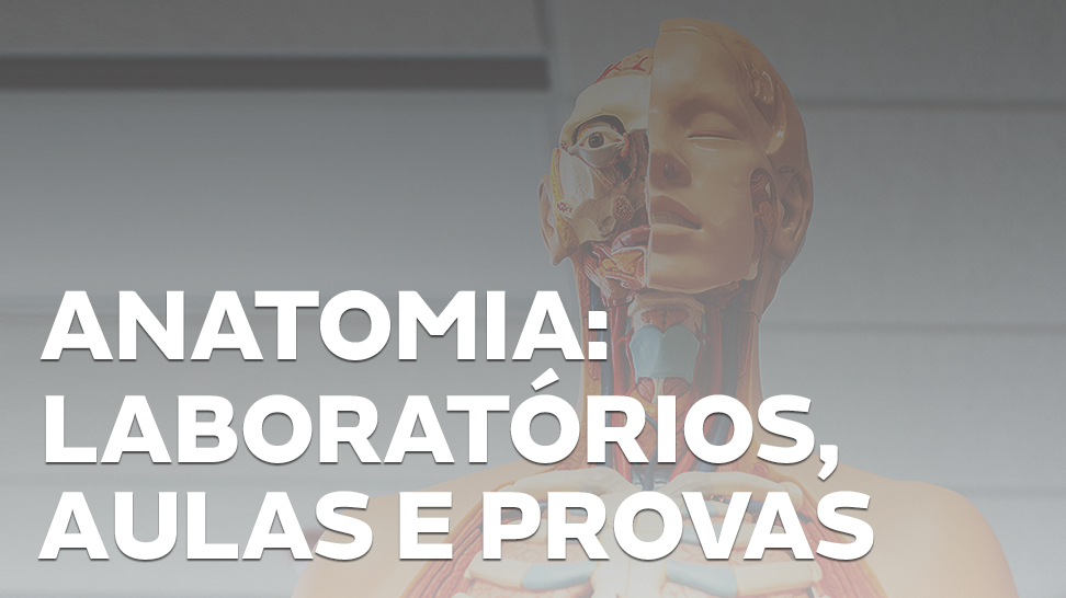 Aula de Anatomia: muito mais real do que você pensa - Medicina